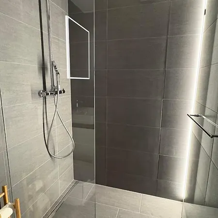 Apartment Aaa Allegra Rojo With Mountain View Scuol