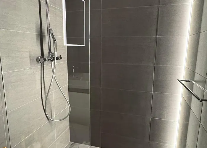 Apartment Aaa Allegra Rojo With Mountain View Scuol